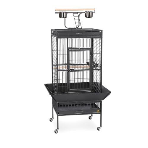Wrought Iron Select Bird Cage (Black Hammertone / 24.0"L x 20.0"W x 60.0"H)