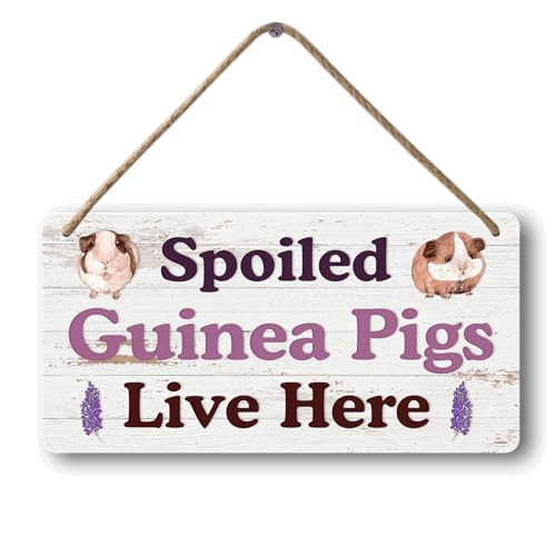 Big Hamster Ball & Guinea Pig Hideout (007)