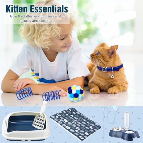 10 Pcs Kitten Starter Kit for Indoor (Classic / Medium / Dark Blue)