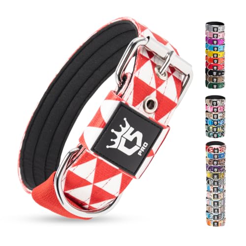 Heavy Duty Thick Dog Collar with Metal Buckle for Small Dogs (S – Fits Neck 12.6"-15.8" / Geometric Style)