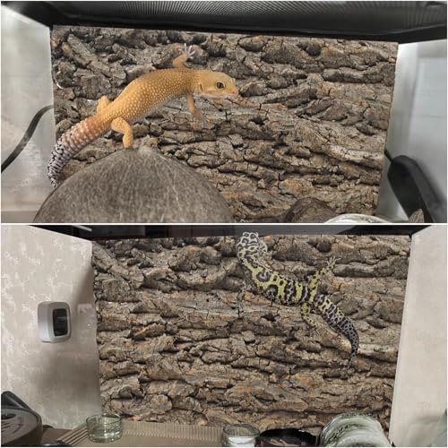 2PCS Reptile Background for Terrarium (【2 PCS】)