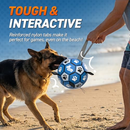 Extra Large Dog Toy Soccer Ball (Blue Gray / Extra Large Size 5 (9 Inch))