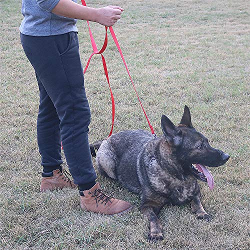 Dog Puppy Obedience Recall Training Agility Lead (Black / 15 Feet)