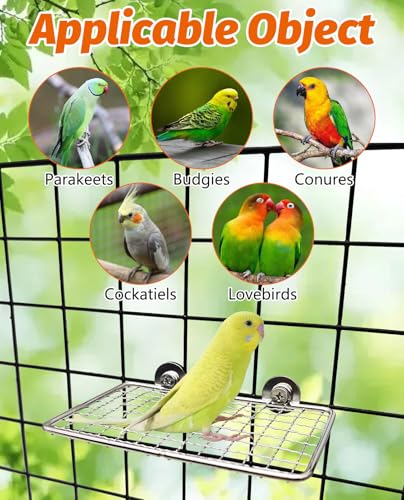 Bird Perch Platform 2 Pcs Stainless Steel Grid Parrot Perches Stand Shelf Parrots Platform Perch Small Birds Cage Accessories for Parakeets