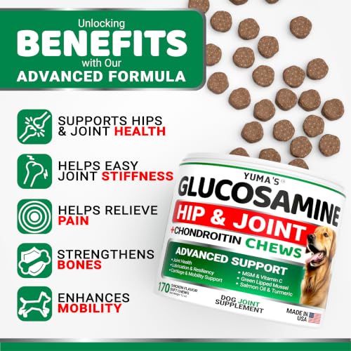 2 Pack) Glucosamine for Dogs - 340 Ct - Hip and Joint Supplement for Dogs (Glucosamine / 340 Chews)