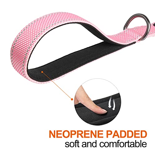 4FT 1IN Heavy Duty Dog Leash for Large Dogs with 2 Padded Handles (Pink / 1 in x 4 ft)