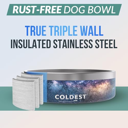 Coldest Dog Bowl (42 oz / Into The Beyond)