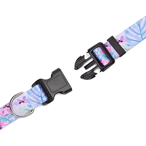 Adjustable Dog Collar (Small / Floral Purple)