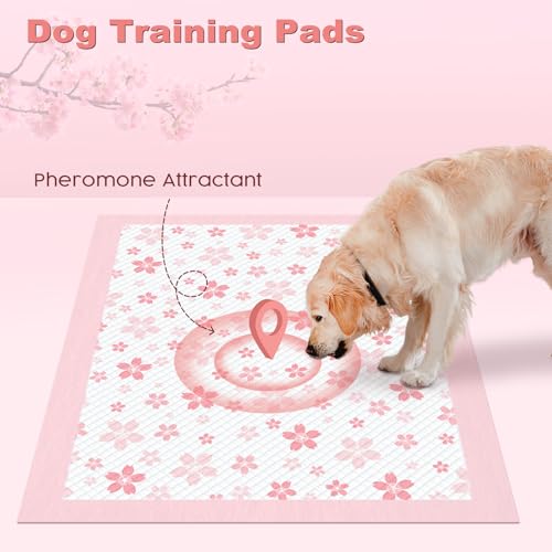 Pink Puppy Pads with Adhesive Tabs Disposable Pee Pads 28x34in 100Ct (28x34in | 100Ct-Pink)