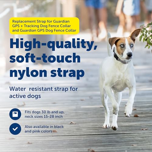 Guardian GPS + Tracking Dog Fence Replacement Collar Strap (Gray / Replacement Strap)
