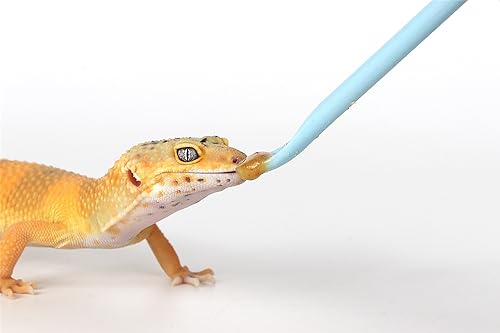 2Pcs Blue Reptile Feeding Spoon (1 Ounce (Pack of 2))