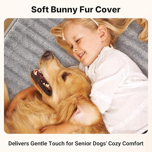 Orthopedic Dog Bed for Senior Dog (Gray / 52"L x 36"W x 7"Th)