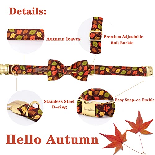 Fall Dog Collar with Bow (L / mapleleaf)