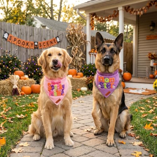 Halloween Dog Bandanas Girl (X-Large / Halloween-1)