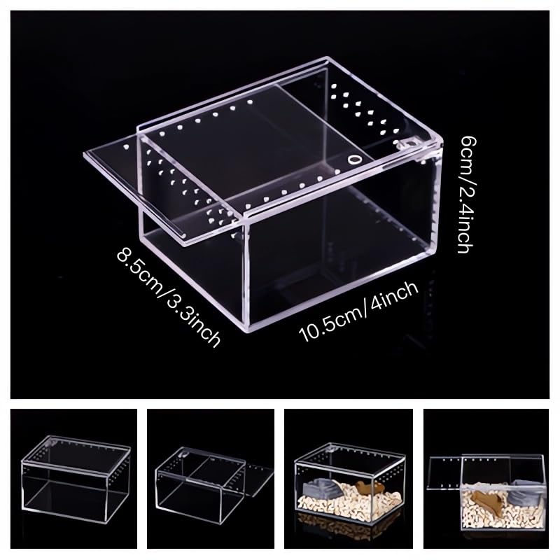 Insect breeding Box Reptile Feeding Box (3.9*3.3*2.3inch)