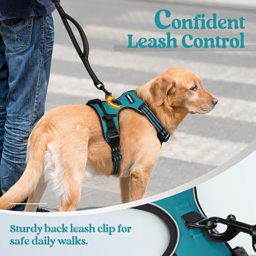 Dog Harness No Pull for Large Dogs with 2 Leash Clips (X-Large / Teal)