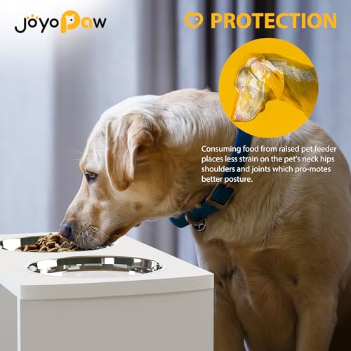 Elevated Dog Bowls (White / X Large: 13'' Tall-68 oz Bowl)