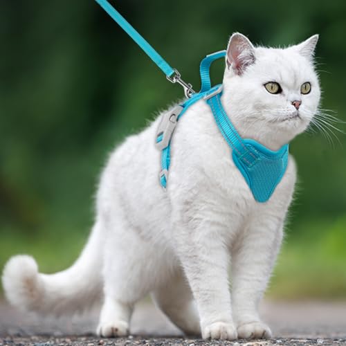 Cat Harness and Leash Set Escape Proof for Kitten Walking (Medium / Blue)