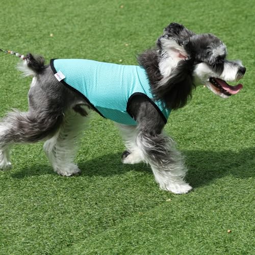 2 Pack Cooling Shirts for Dogs (S(chest:10-12") / Lake Blue&Orange)