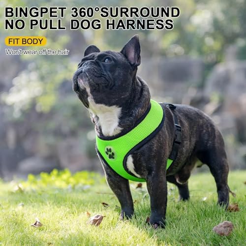 Small Dog Harness (XL (NECK: 20.5", CHEST: 20.5"-27") / Green)