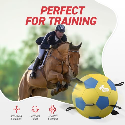 25 Inch Herding Ball for Dog with Straps (Yellow / 25 Inch)