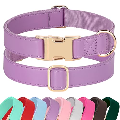 Soft PU Leather Dog Collar (M: Fit 13-19" Neck(20-55 lbs) / Purple)