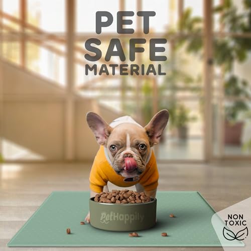 Dog Food Mat 24x15 Raised Edges Dogs Mat for Food and Water Prevent Spill (24"L x 15"W / Pistachio)