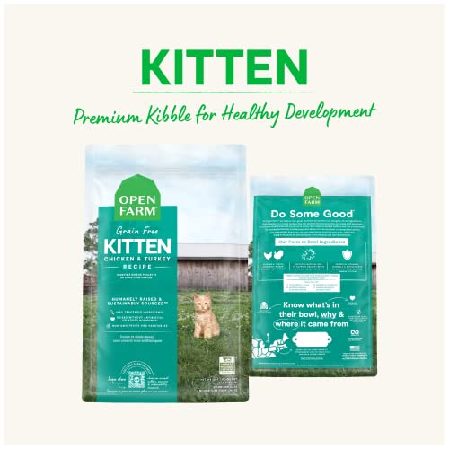 Grain Free Kitten Recipe (2 Pound (Pack of 1))