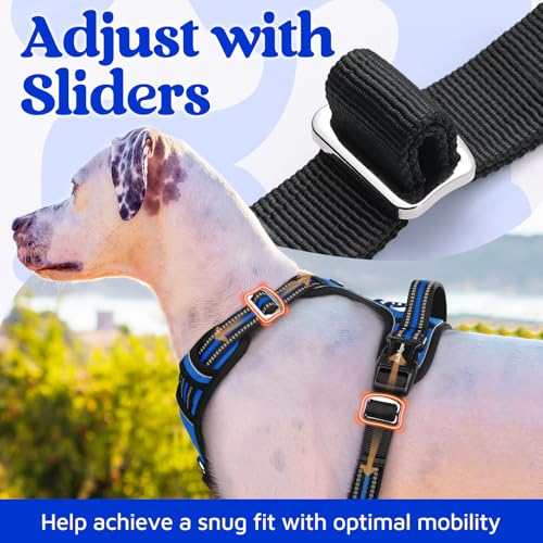 Dog Harness for Large (Royal Blue / X-Large)