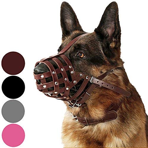 Leather Basket Muzzle (Chestnut Brown)