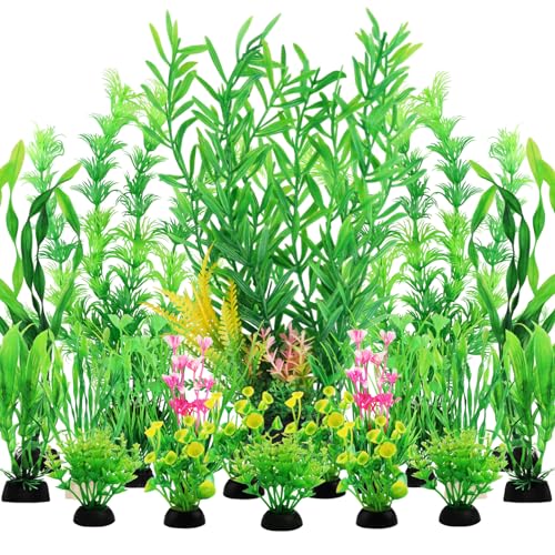 Fish Tank Plants
