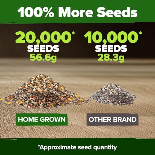 Monarch Butterfly Wildflower Mix Seeds