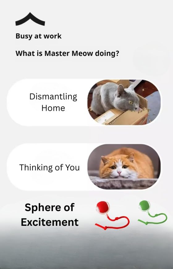 Indoor Cat Interactive Toy 360 (Green)