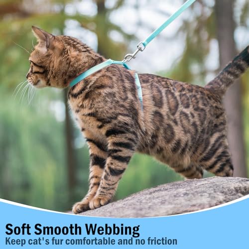 Adjustable Cat Harness and Leash Set Escape Proof Kitten Strap Collar for Walking Travel (Medium / Sky Blue)