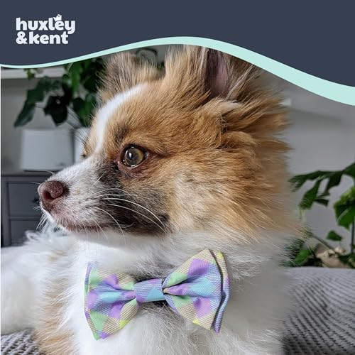 Pet Bow Tie for Dogs & Cats (Large)