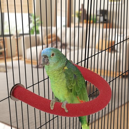 U Shaped Large Parrot Perch (Large / Red)