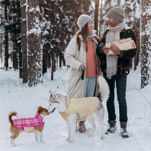Waterproof Dog Coat (Rose / Large (Pack of 1))