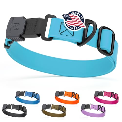 Biothane Waterproof Dog Collar with Herm Sprenger Stainless Steel Quick Release Buckle (W 1" x L 15"-25" / Sky Blue)