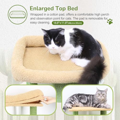 Cactus Cat Tree Tower with Scratching Post for Indoor Cats (Green / L)