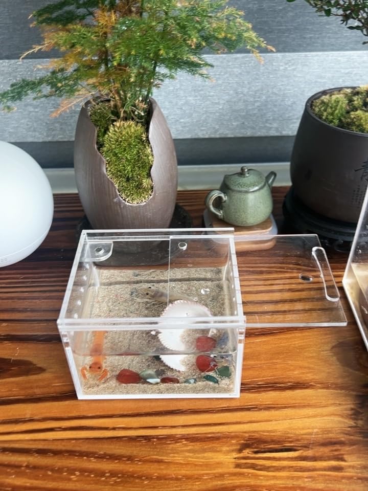 Insect breeding Box Reptile Feeding Box (3.9*3.3*2.3inch)