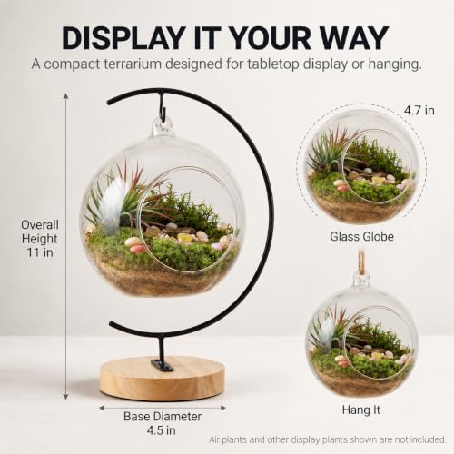 DIY Glass Terrarium Kit with Live Moss & Mini Tools