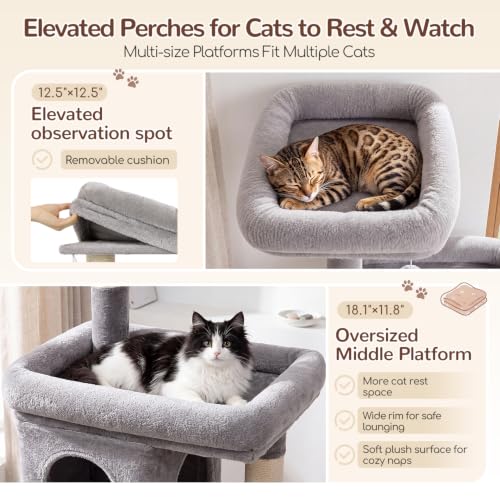 Cat Tree Tower 2 Condo Kitten Scratching Post (Light Grey / 54 inch)