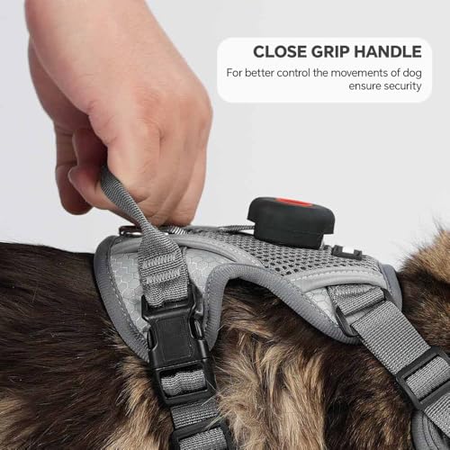 Cat Harness and Leash Set with AirTag Holder (Grey (Holder for Airtag) / M)