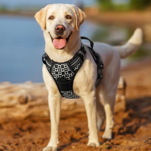 Dog Harness No Pull for Large Dogs with 2 Leash Clips (Medium / Black Grid)