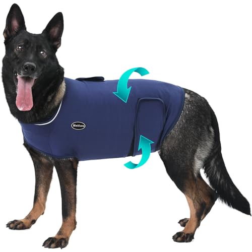 Dog Anxiety Vest (X-Large / Blue)