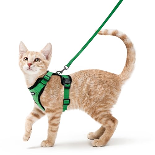 Cat Harness and Leash Set (Xs / Grass Green)