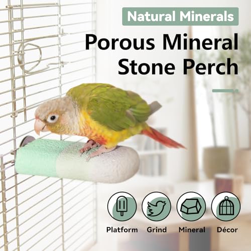 Mineral Bird Perch (Gradient Green / 4.7")