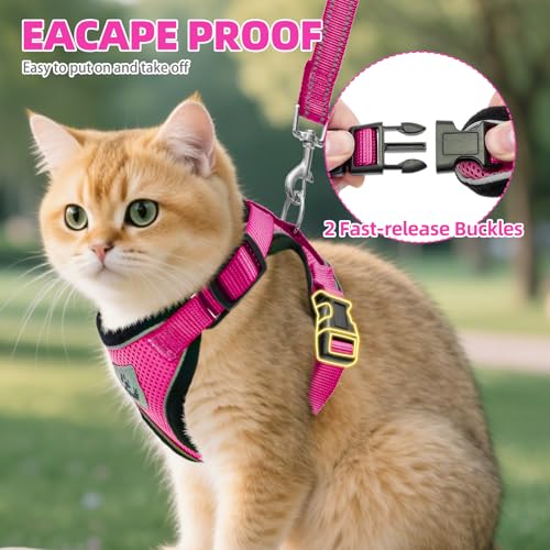 Cat Harness and Leash Set Escape Proof Reflective Cat Walking Harness Adjustable Soft Breathable Mesh Vest for Small Pets (S (NECK 9.5"-11", CHEST 13"-16") / Deep Pink)