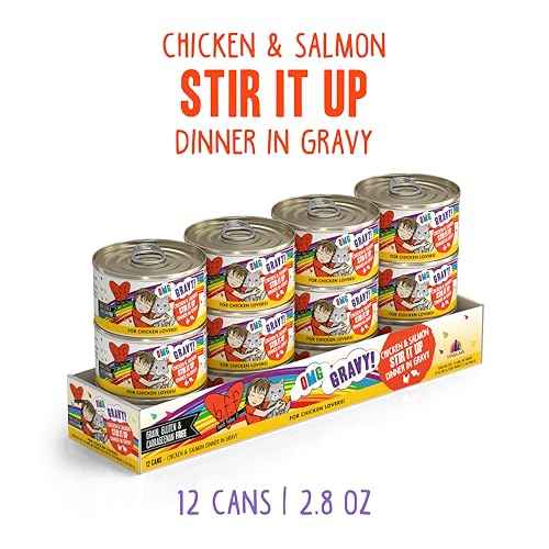 B.F.F. OMG Best Feline Friend Oh My Gravy! (2.8 Ounce (Pack of 12))
