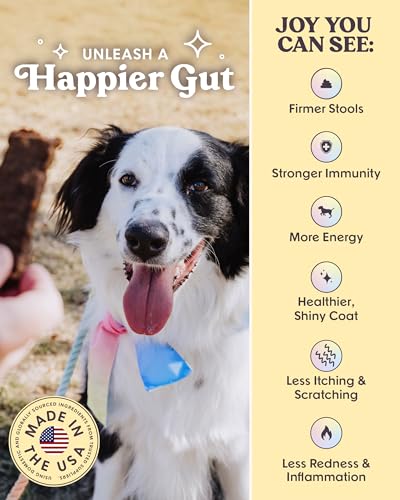 Chicken Jerky Dog Training Treats (32 Ounce (Pack of 1))